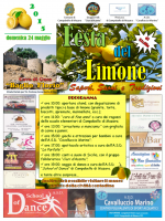 /album/galleria-foto-homepage/festa-del-limone-png/